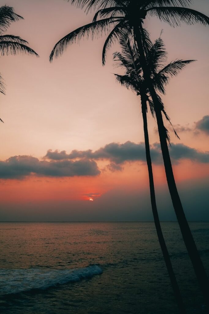 Palm trees silhouetted against a sunset over the ocean.